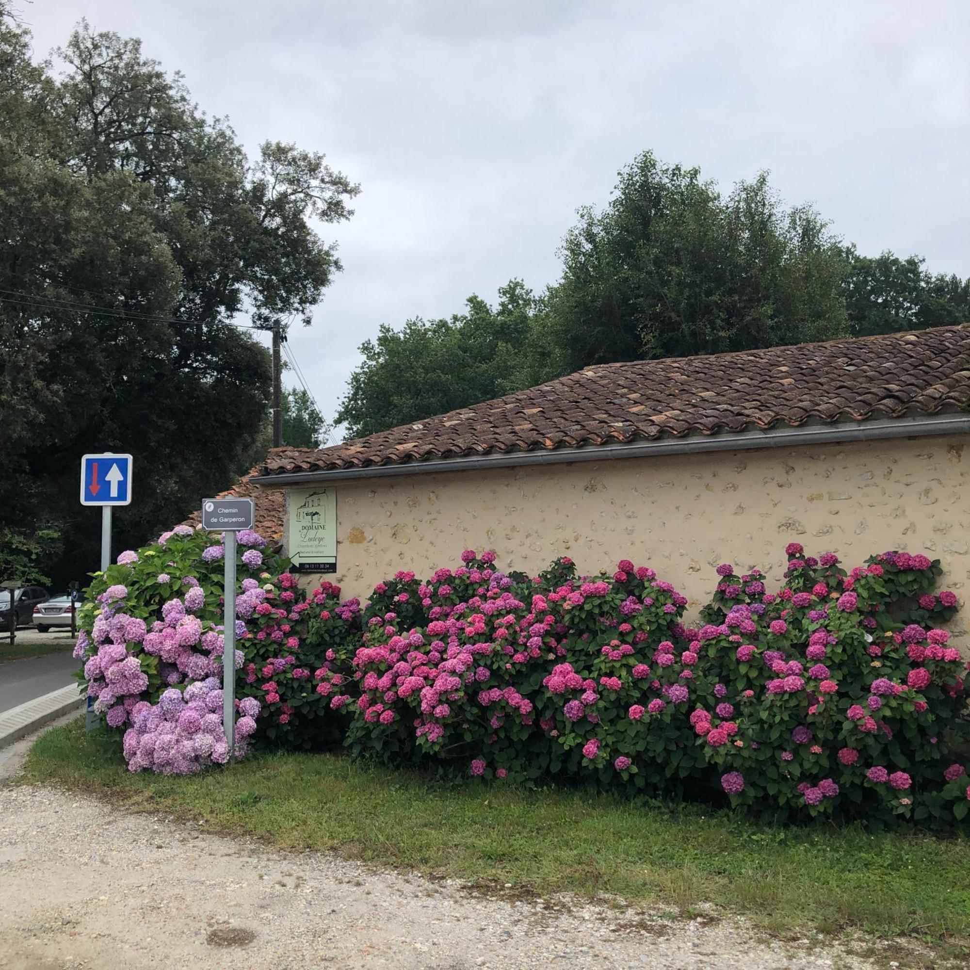 Domaine De Ludeye Hotel Listrac-Medoc Bagian luar foto