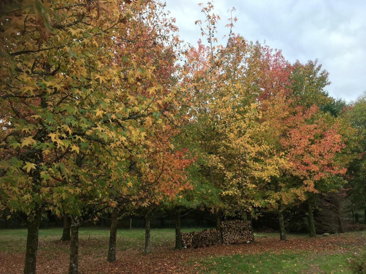 Domaine De Ludeye Hotel Listrac-Medoc Bagian luar foto