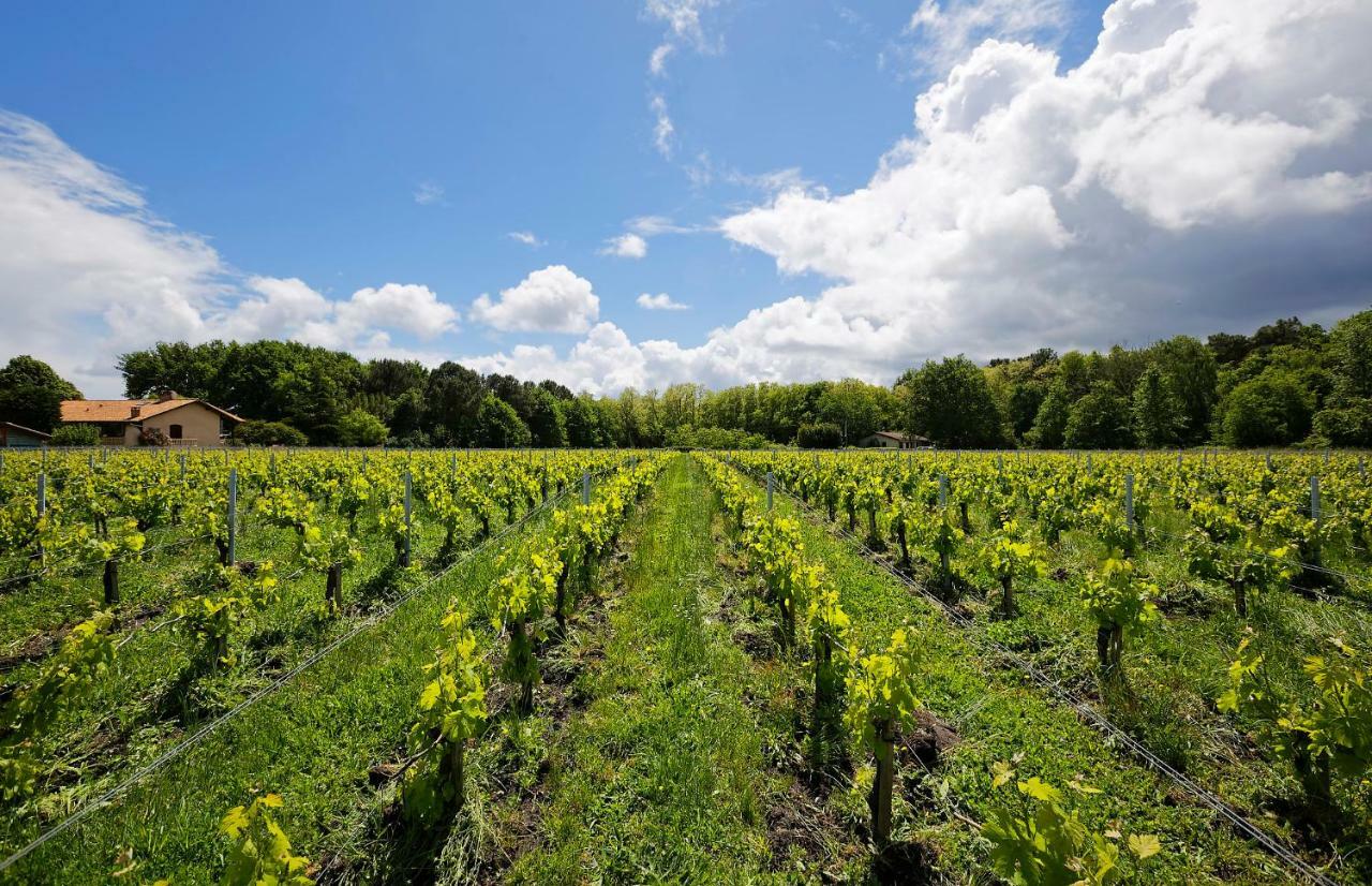 Domaine De Ludeye Hotel Listrac-Medoc Bagian luar foto